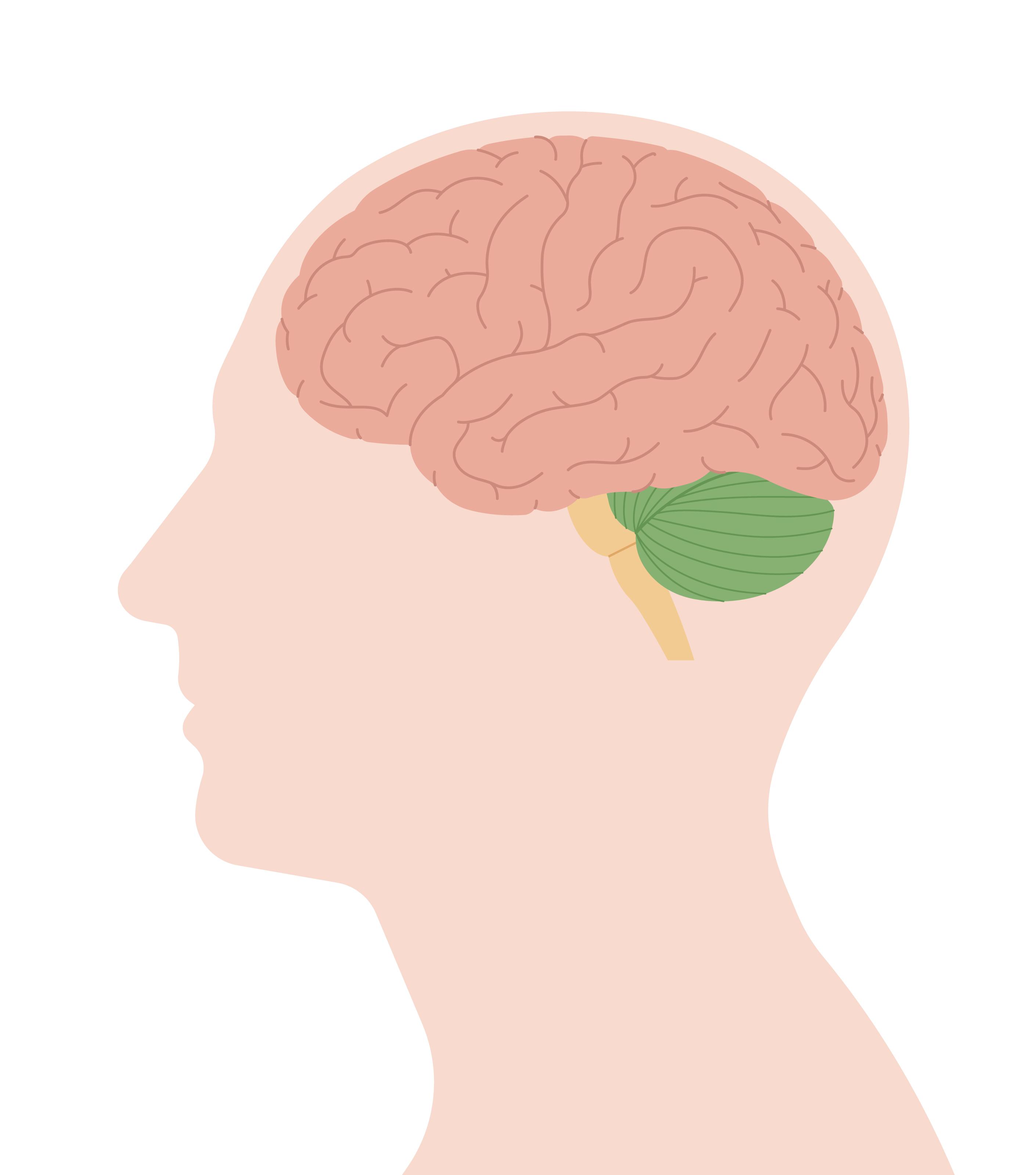 Что такое психология: изучение психики и поведения
